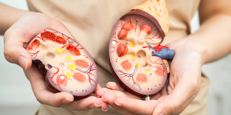 Poluição e doenças crônicas: como o ambiente molda a saúde presente e futura e exige ações preventivas — análise da Versa Engenharia Ambiental Ltda.