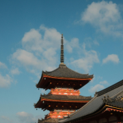 Casas de banho no Japão: Alberto Toshio Murakami explica como etiqueta e tecnologia transformam um hábito cotidiano em experiência cultural.