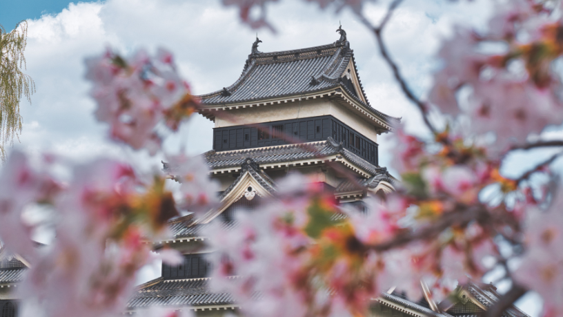 Etiqueta e cultura no Japão: Alberto Toshio Murakami analisa como as casas de banho refletem valores, respeito e inovação no dia a dia japonês.