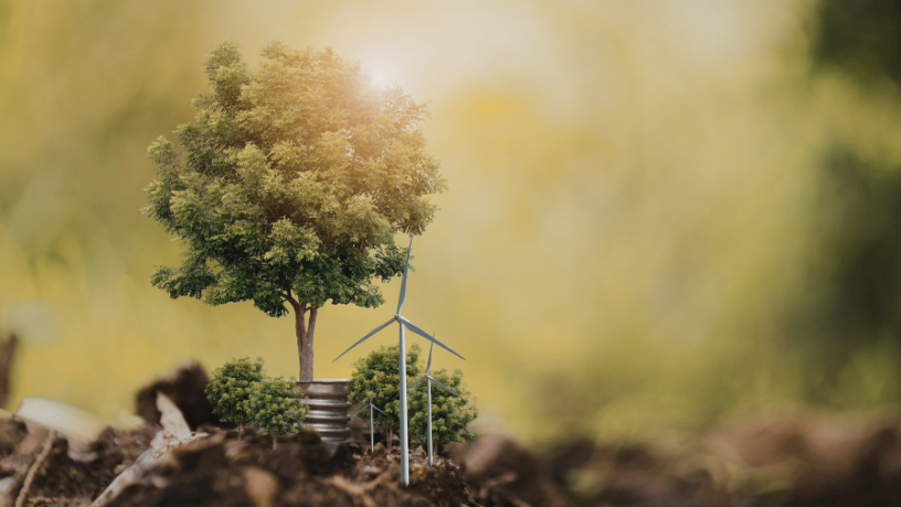 Odair José Mannrich