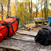 Daugliesi Giacomasi Souza